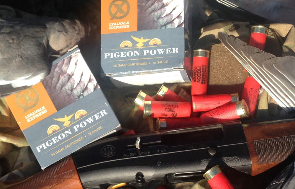 Review : Pigeon Power Cartridges from Lyalvale Express