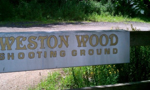 Shootclay Visits – Weston Wood, Nr Oxford