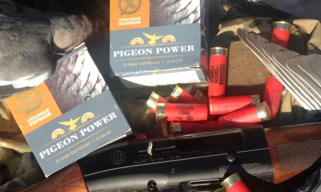 Review : Pigeon Power Cartridges from Lyalvale Express